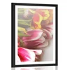 Plakat s paspartujem šopek barvitih tulipanov - 60x90 black