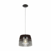 Eglo 96955 - Luster na sajli ARTANA 1xE27/60W/230V siva/crna 300mm