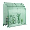 Northio Rastlinjak iz folije Walk-in mini rastlinjak s polico za rože 198,5 x 98 x 215 cm, zelen
