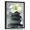 Plakat harmonični kamni in cvet plumerije - 20x30 white