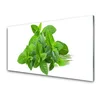 tulup.si Slika na akrilnem steklu Mint rastlin narava 100x50 cm 4 obešalnika