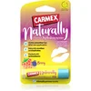 Carmex Berry vlažilni balzam za ustnice v paličici 4.25 g