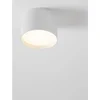 ZIAZA STROPNA LAMPA LED/3000K/17W/833Lm/BIJELA