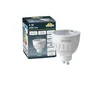 FUMAGALLI LED žarnica, 6W CCT