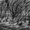Bismuth - The Eternal Marshes (LP)