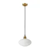 Viseči lestenec HECTOR na kabelu 1xE27/15W/230V, bel/meden, premer 25 cm
