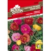 SEME ROYAL SEEDS 52, Portulak polnjeni, mešanica