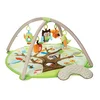 Skip Hop bebi gimnastika 307500