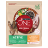 Purina One Mini Active piščanec in riž - 800 g