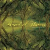 Band Of Horses - Everything All The Time (Anniversary Edition) (Yellow Coloured) (2 LP)