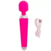 Pink mini wand usb