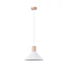 Sollux SL.1319 - Luster na sajli JAGA 1xE27/15W/230V prečnik 30 cm bela