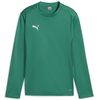 Mikica Puma teamGOAL Training Sweat Jr