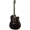 Tanglewood TW5 BS elektro-akustična gitara