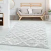 Conceptum Hypnose Tepih Pisa 4707, 80 x 250cm, Sivi