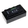 baterija VW-VBD29 za Panasonic AJ-PX298MC / HDC-MDH2GK / AJ-HPX270, 2600 mAh