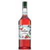 shumee Giffardov sirup 1,0 l brusnica