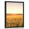 Plakat sončni zahod nad poljem - 40x60 no frame