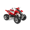 Motor na akumulatoar 12V POLARIS OUTLAW 330W (IGOR0099)