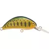 Rapture Hot Bean Area 40mm 3.5gr NFR