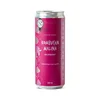 Kombucha malina bio 12x