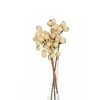 Lilium grana krem bobice set/2 N12465