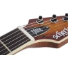 Schecter Avenger Exotic Spalted Maple električna gitara