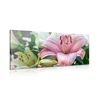 Slika rožnata cvetoča lilija - 60x30