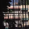 Section 25 - Dark Light (Reissue) (Limited Edition) (Crystal Clear Coloured) (LP)