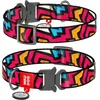 Collar Najlonska ovratnica 25mmx37-58cm WAUDOG Graffiti