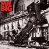 Mr Big - Lean Into It (30th Anniversary Edition) (180g) (LP)