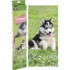 Grafix Diamantna slika Husky 40x50cm