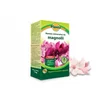 Planta Večkomponentno gnojilo v granulah 1 kg 1 l 1 kos.