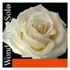 PIRASTRO WONDERTONE SOLO violina SET
