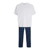 JACK & JONES Dolga pižama JACFLORENCE mornarska / zelena / bela