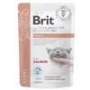 Brit GGF veterinarska dieta za mačke Renal, vrečka - losos - 85 g 85 g
