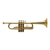 Trobenta C1 Schilke