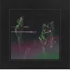 Wolfmother - Rocknroll Baby (Limited Edition) (Green Coloured) (LP)