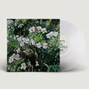 Jess Locke - Dont Ask Yourself Why (LP)