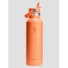 Hydro Flask 21 Oz Standard Flex Straw Cap Bottle nectar orange