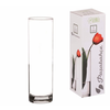 Atmosphera vaza 7,8x26,5 cm staklo transparent ( 609384544 )