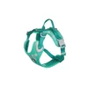 Hurtta oprsnica za psa Weekend Warrior (60-80cm), peacock green
