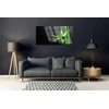 tulup.si Steklena slika Bamboo listi rastlin 100x50 cm 2 obešalnika