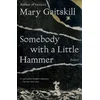 Somebody with a Little Hammer
