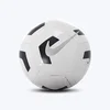 NIKE Lopta za fudbal nk ptch train - fa24U