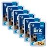 Vrečka BRIT Premium Cat Delicate Fillets in Gravy with Chicken 6 x 85 g