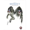 Monkey New Writing from Japan