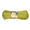 RAFFIA vrv lycra svetlo zelena 50g
