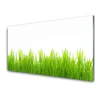 tulup.si Slika na akrilnem steklu Grass nature rastlin 120x60 cm 4 obešalnika