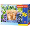 Castorland Puzzle Ginger Kittens 70 kosov